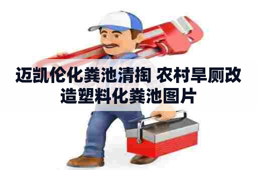 迈凯伦化粪池清掏 农村旱厕改造塑料化粪池图片