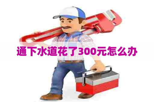 通下水道花了300元怎么办 通下水道花了300元怎么办