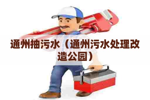 通州抽污水（通州污水处理改造公园）