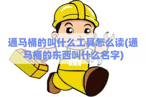 通马桶的叫什么工具怎么读(通马桶的东西叫什么名字)