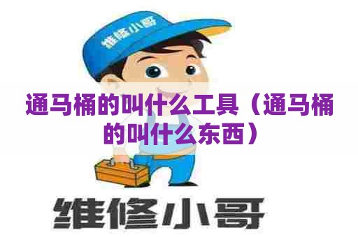 通马桶的叫什么工具（通马桶的叫什么东西）