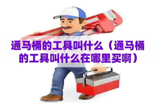 通马桶的工具叫什么（通马桶的工具叫什么在哪里买啊）