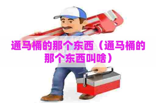 通马桶的那个东西（通马桶的那个东西叫啥）