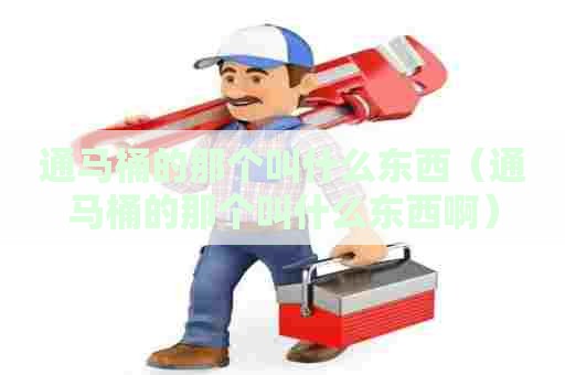 通马桶的那个叫什么东西（通马桶的那个叫什么东西啊）