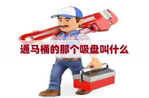 通马桶的那个吸盘叫什么