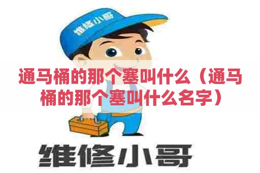 通马桶的那个塞叫什么（通马桶的那个塞叫什么名字）