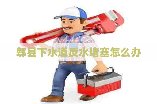 郫县下水道反水堵塞怎么办
