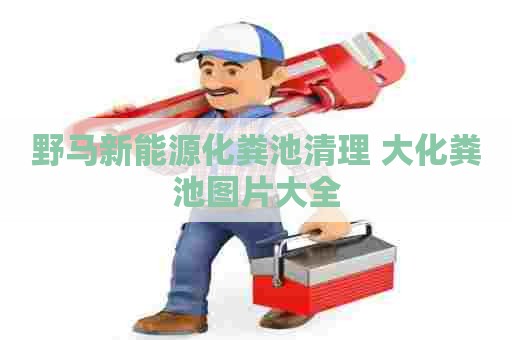 野马新能源化粪池清理 大化粪池图片大全
