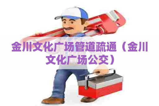 金川文化广场管道疏通（金川文化广场公交）