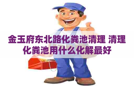 金玉府东北路化粪池清理 清理化粪池用什么化解最好