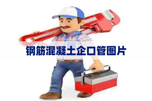 钢筋混凝土企口管图片