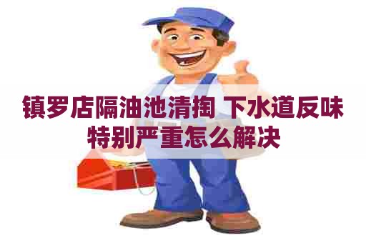 镇罗店隔油池清掏 下水道反味特别严重怎么解决