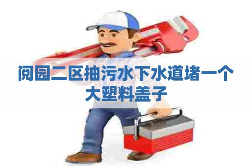 阅园二区抽污水下水道堵一个大塑料盖子 阅园二区抽污水下水道堵一个大塑料盖子