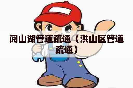 阅山湖管道疏通(洪山区管道疏通) 阅山湖管道疏通(洪山区管道疏通)