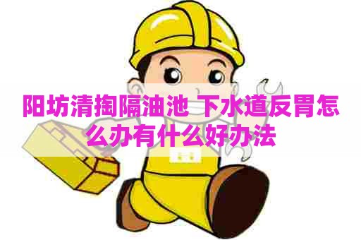 阳坊清掏隔油池 下水道反胃怎么办有什么好办法