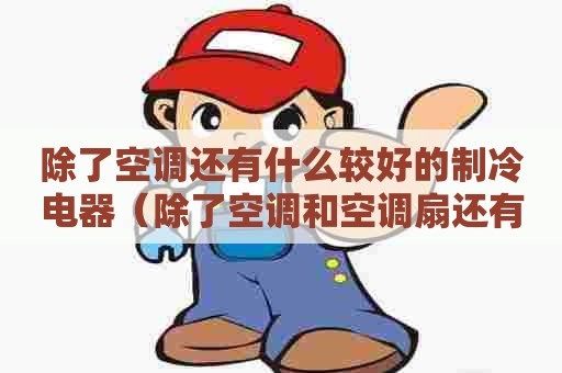 除了空调还有什么较好的制冷电器（除了空调和空调扇还有什么可以制冷）
