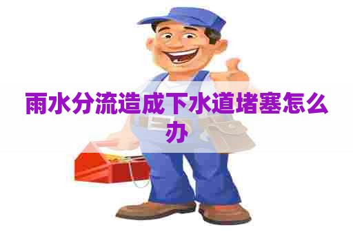 雨水分流造成下水道堵塞怎么办