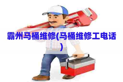 霸州马桶维修(马桶维修工电话)