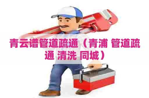 青云谱管道疏通（青浦 管道疏通 清洗 同城）