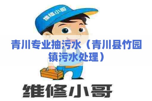 青川专业抽污水（青川县竹园镇污水处理）