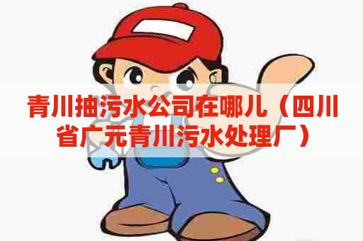 青川抽污水公司在哪儿（四川省广元青川污水处理厂）