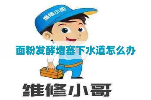 面粉发酵堵塞下水道怎么办