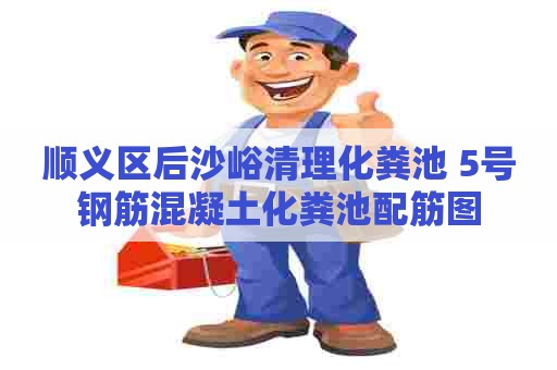 顺义区后沙峪清理化粪池 5号钢筋混凝土化粪池配筋图 顺义区后沙峪清理化粪池 5号钢筋混凝土化粪池配筋图