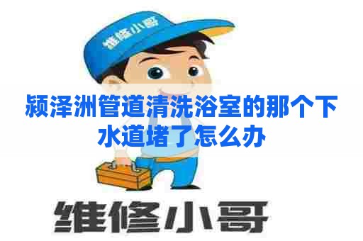 颍泽洲管道清洗浴室的那个下水道堵了怎么办