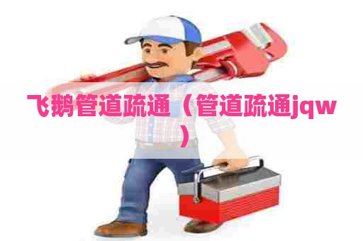 飞鹅管道疏通（管道疏通jqw）