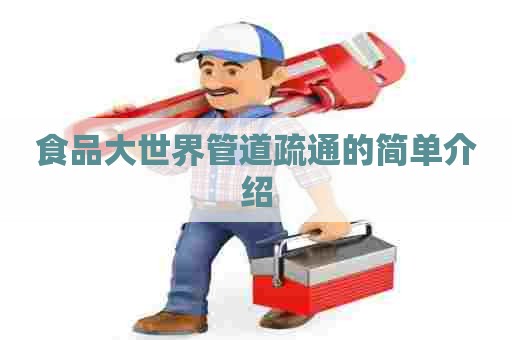 食品大世界管道疏通的简单介绍