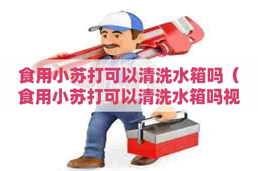 食用小苏打可以清洗水箱吗（食用小苏打可以清洗水箱吗视频）