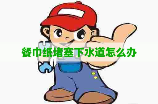 餐巾纸堵塞下水道怎么办
