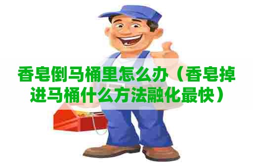 香皂倒马桶里怎么办（香皂掉进马桶什么方法融化最快）