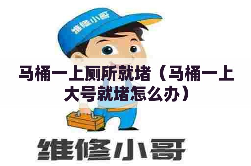 马桶一上厕所就堵（马桶一上大号就堵怎么办）