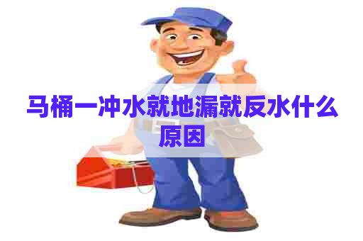 马桶一冲水就地漏就反水什么原因