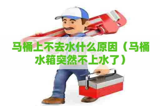 马桶上不去水什么原因（马桶水箱突然不上水了）