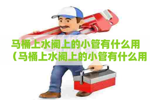 马桶上水阀上的小管有什么用(马桶上水阀上的小管有什么用处) 马桶上水阀上的小管有什么用(马桶上水阀上的小管有什么用处)