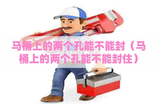马桶上的两个孔能不能封（马桶上的两个孔能不能封住）