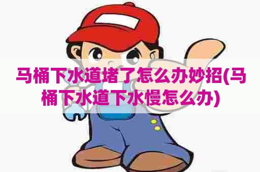 马桶下水道堵了怎么办妙招(马桶下水道下水慢怎么办) 马桶下水道堵了怎么办妙招(马桶下水道下水慢怎么办)