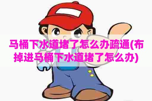 马桶下水道堵了怎么办疏通(布掉进马桶下水道堵了怎么办)