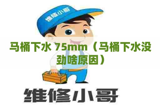 马桶下水 75mm（马桶下水没劲啥原因）