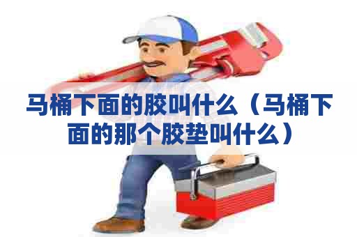 马桶下面的胶叫什么（马桶下面的那个胶垫叫什么）
