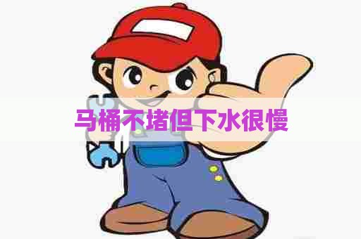 马桶不堵但下水很慢