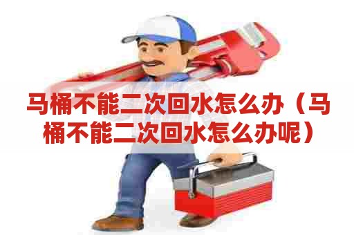 马桶不能二次回水怎么办（马桶不能二次回水怎么办呢）