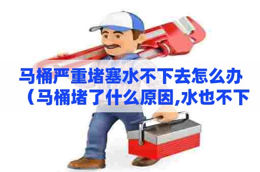 马桶严重堵塞水不下去怎么办(马桶堵了什么原因,水也不下去) 马桶严重堵塞水不下去怎么办(马桶堵了什么原因,水也不下去)