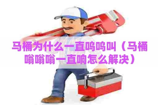 马桶为什么一直呜呜叫（马桶嗡嗡嗡一直响怎么解决）