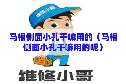 马桶侧面小孔干嘛用的（马桶侧面小孔干嘛用的呢）