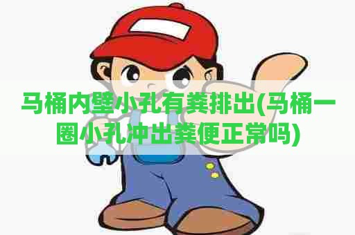 马桶内壁小孔有粪排出(马桶一圈小孔冲出粪便正常吗)