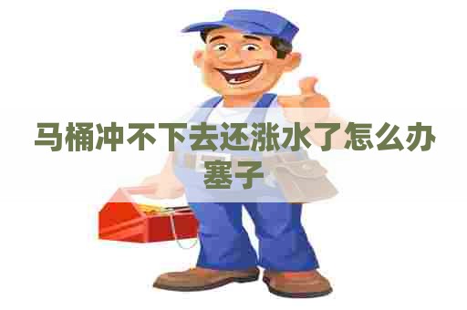 马桶冲不下去还涨水了怎么办塞子 马桶冲不下去还涨水了怎么办塞子