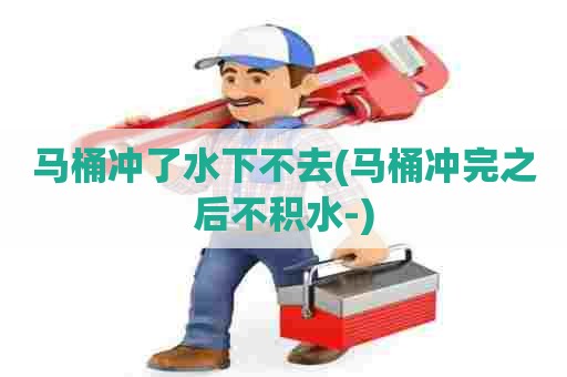 马桶冲了水下不去(马桶冲完之后不积水-) 马桶冲了水下不去(马桶冲完之后不积水-)